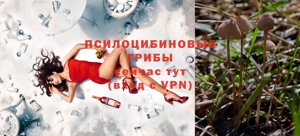 прущая мука Белокуриха