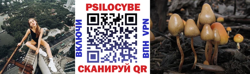 купить наркоту  дарк нет телеграм  Галлюциногенные грибы Cubensis  Облучье  kraken ссылки 